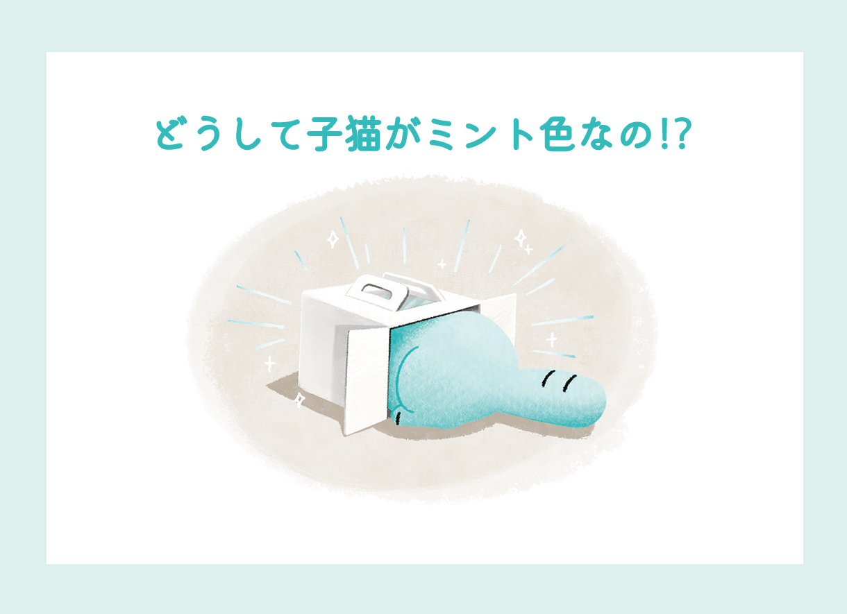 どうして子猫がミント色なの！？