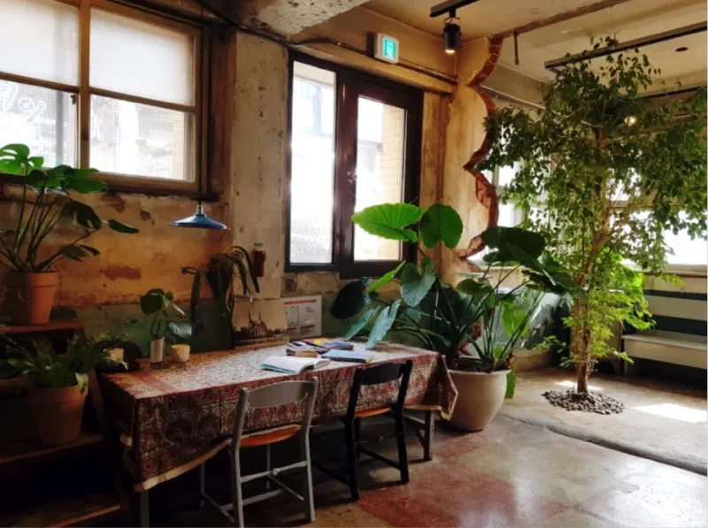 ブラウンハンズ開港路 植物が配置されたカフェ内部
