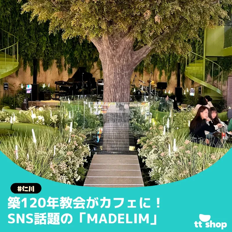 メイドリームの教会をリノベーションした美しい外観と緑豊かな内装