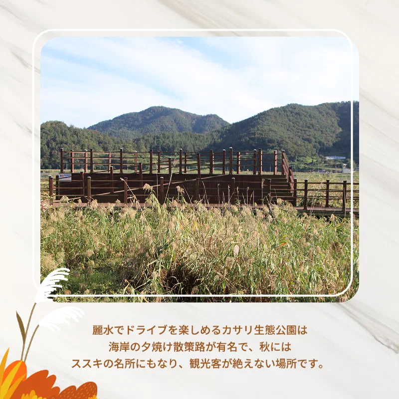 海と川が出会う湿地に整備されたカサリ生態公園のウッドデッキ散策路