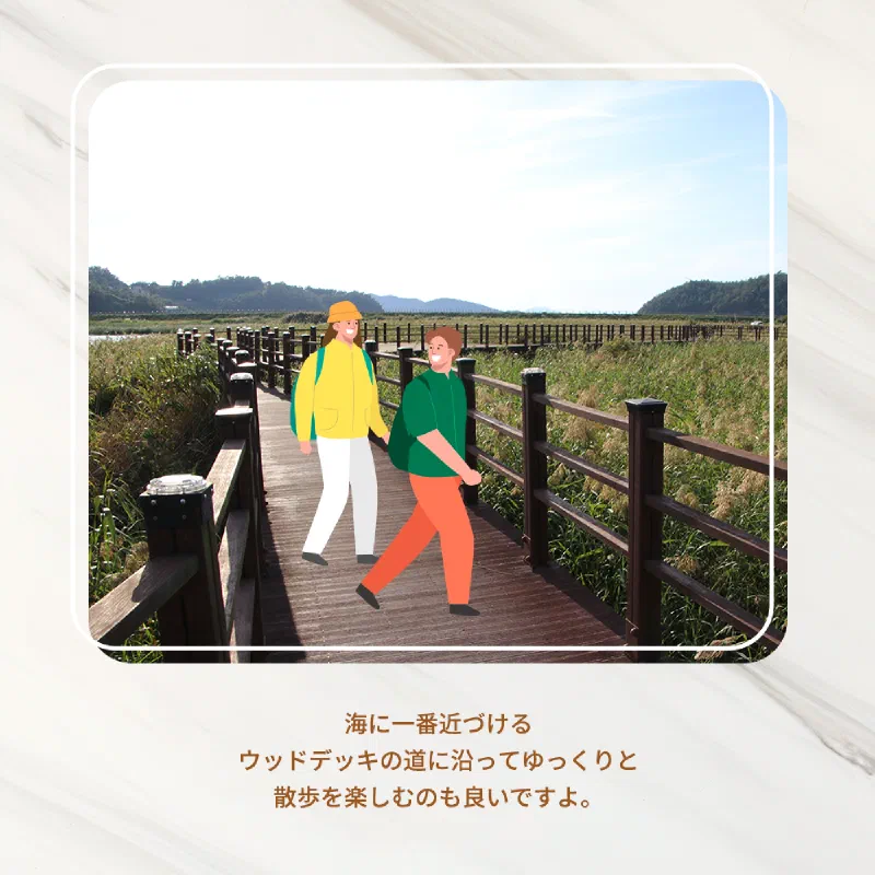 カサリ生態公園のウッドデッキ突端から望む海岸線