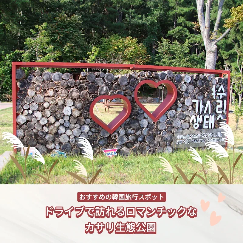 麗水カサリ生態公園のススキと海岸散策路