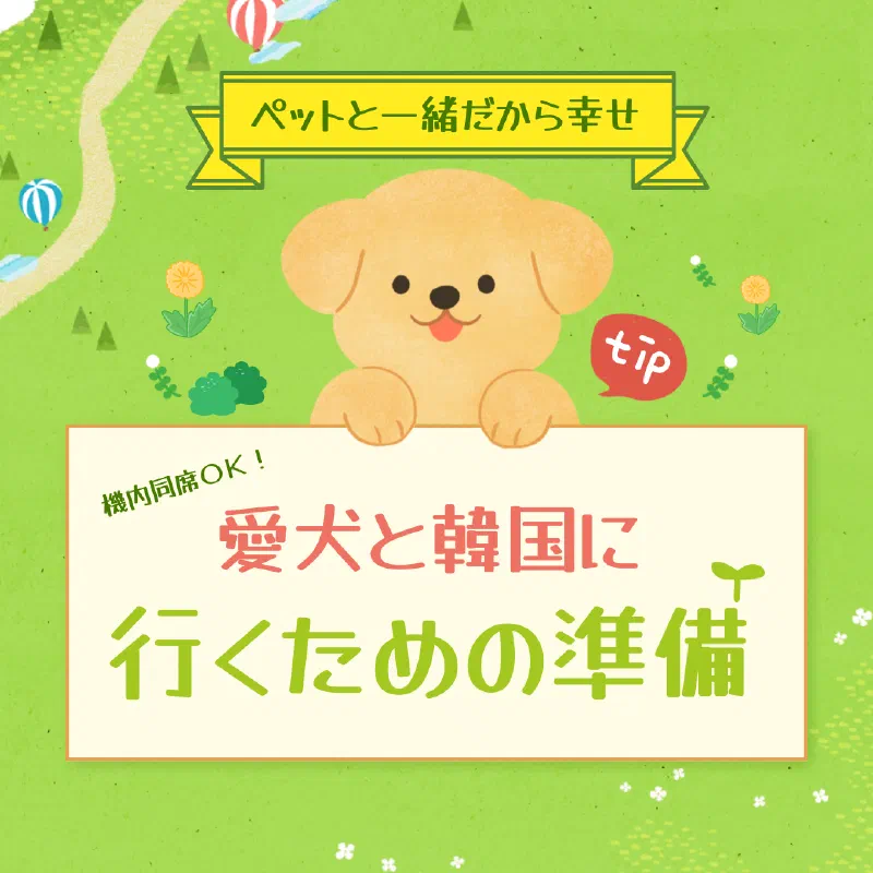 機内同席OK!愛犬と韓国に行くための準備