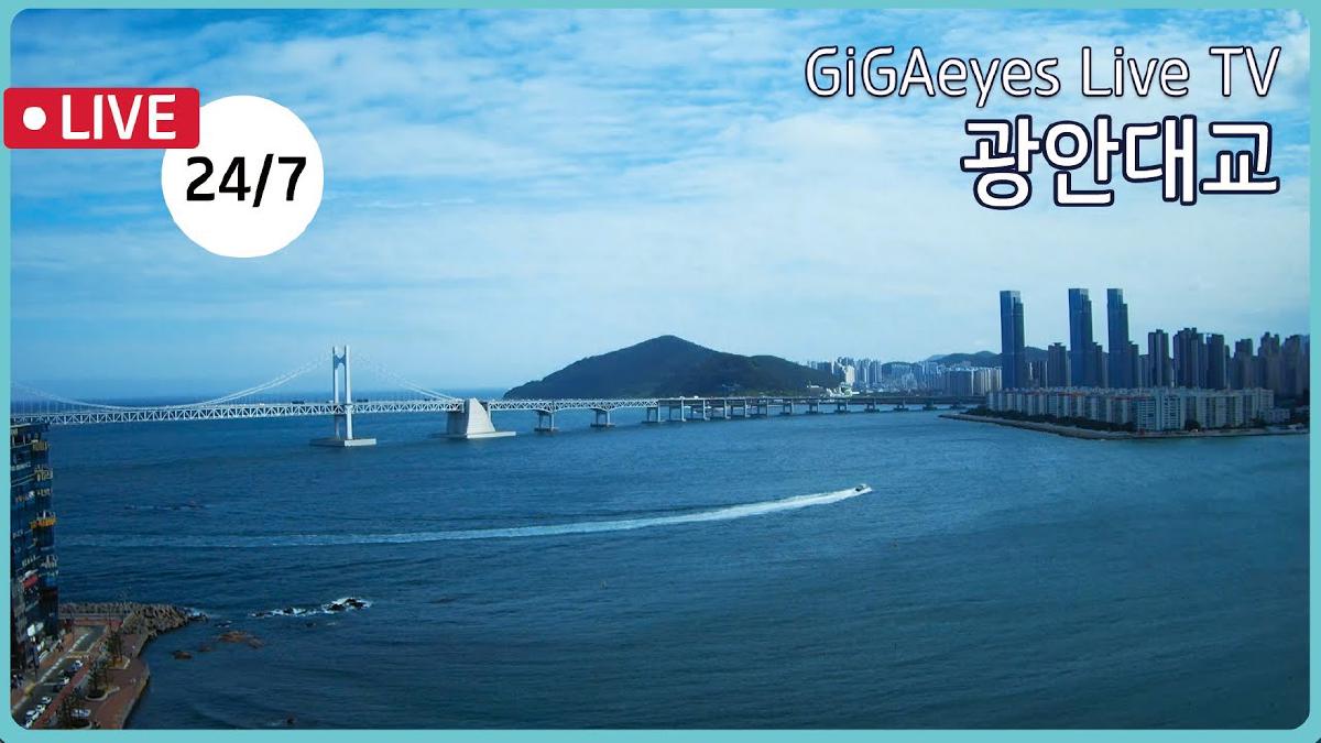 韓国の台風状況を目で確認しよう!「KT GiGAeyes LIVE TV」
