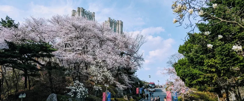 [韓国留学：語学堂]慶熙（キョンヒ）大学校国際教育院の韓国語教育レビュー