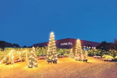 100万人が訪れた!クリスマスツリーの場所は・・・SIMMONS Terrace!