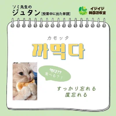 ソミ先生のジュタン「カモッタ」「カッチ」「ホンコノ」「トゥボギ」