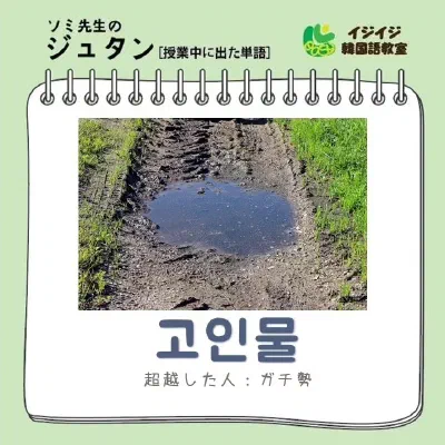 ソミ先生のジュタン「득근 - 筋肉がつくこと」「고인물 - 超越した人:ガチ勢」
